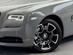 Ford 6.6T Black Badge - фото 4