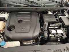 Changan CS75 Honor Million Edition 280T DCT Pilot - фото 20
