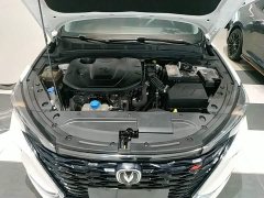 Changan Eado PLUS Blue Whale NE 1.4T GDI DCT Premium - фото 20