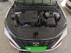 Changan Eado 2024 PLUS Blue Whale NE 1.4T GDI DCT High-Energy Edition - фото 20