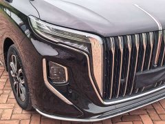Hongqi HQ9 2.0T Zhilian Qiling Edition - фото 18