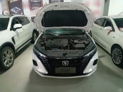 Changan Eado 2021 PLUS Blue Whale NE 1.4T GDI DCT flagship - фото 16