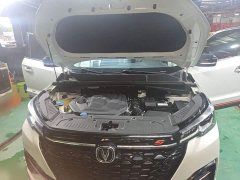 Changan CS55 PLUS Blue Whale Edition 1.5T DCT Luxury - фото 20