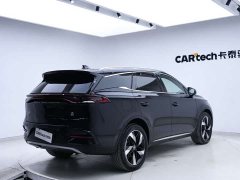 BYD Tangxin Energy DM-i Champion Edition 112KM Honor Type - фото 10