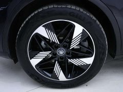 BYD Tangxin Energy DM-i Champion Edition 112KM Honor Type - фото 12