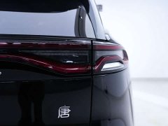 BYD Tangxin Energy DM-i Champion Edition 112KM Honor Type - фото 14