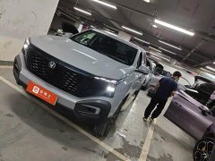 Changan Edition Luxury Version Single Motor - фото 1