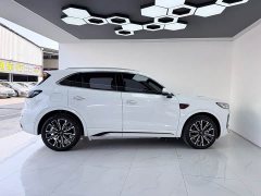 Hongqi HS5 2023 2.0T 4WD Qiling Pro Edition - фото 12