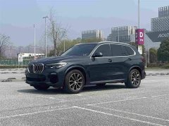 BMW X5 (Imported) xDrive30i M Sports Package - фото 20