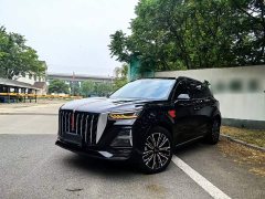 Hongqi HS5 2.0T AWD Qixiang Pro Edition - фото 2