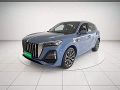 Hongqi HS5 2.0T 4WD Qiling Pro Edition - фото 1
