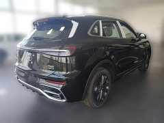 Hongqi HS5 2025 2.0T two-wheel drive Qixiang Pro version - фото 12