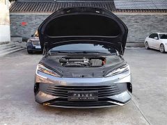 BYD Edition DM-i 1.5L 121km Luxury Version - фото 14