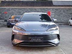 BYD Edition DM-i 1.5L 121km Luxury Version - фото 2