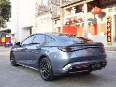 BYD Edition DM-i 1.5L 121km Luxury Version - фото 9