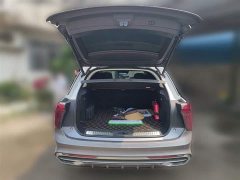 Hongqi E-HS9 2022 660km Flagship Edition Four-Seat - фото 10