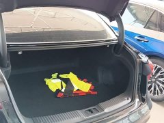Hongqi H5 2.0T Automatic Zhilian Qichang Edition - фото 15