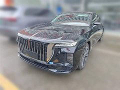 Hongqi H9 2024 2.0T Qixiang Private Fashion Edition - фото 1