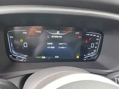 Hongqi HQ9 PHEV 2.0T AWD Business Edition - фото 12
