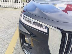 Hongqi H9 2020 2.0T Zhilian Qixiang Edition - фото 13