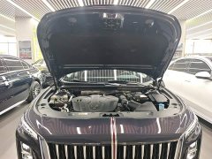 Hongqi H5 2.0T automatic smart connected flag version - фото 11