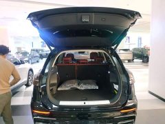 Hongqi HS5 2.0T two-wheel drive Qixiang Pro version - фото 15