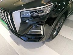Hongqi HS5 2.0T two-wheel drive Qixiang Pro version - фото 18