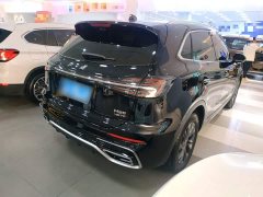 Hongqi HS5 2.0T two-wheel drive Qixiang Pro version - фото 5