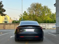 Tesla Model 3 2025 rear-wheel drive version - фото 4
