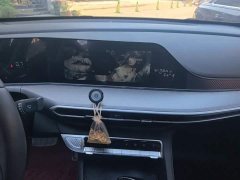 Changan EADO Enjoy Edition PLUS Blue Whale NE 1.4T GDI DCT Premium Edition - фото 13