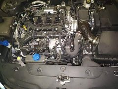 Changan Eado Blue Whale 1.5T 500Bar Premium Type - фото 11