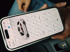 Changan Eado Blue Whale 1.5T 500Bar Premium Type - фото 12
