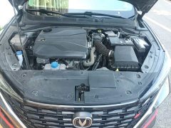 Changan EADO Enjoy Edition PLUS Blue Whale NE 1.4T GDI DCT Premium Edition - фото 11
