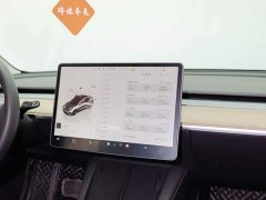 Tesla Model 3 2022 rear-wheel drive version - фото 12