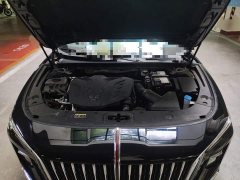 Hongqi H5 1.5T DCT Qiyun Edition - фото 11