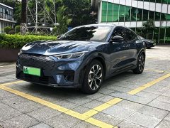 Ford Electric Horse 2021 Borderless Rear-Drive Deluxe Edition (Long Range) - фото 1