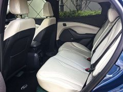 Ford Electric Horse 2021 Borderless Rear-Drive Deluxe Edition (Long Range) - фото 11