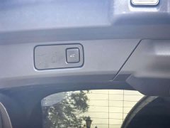 Ford Electric Horse 2021 Borderless Rear-Drive Deluxe Edition (Long Range) - фото 13