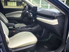 Ford Electric Horse 2021 Borderless Rear-Drive Deluxe Edition (Long Range) - фото 15