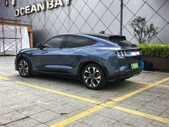 Ford Electric Horse 2021 Borderless Rear-Drive Deluxe Edition (Long Range) - фото 16