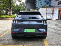 Ford Electric Horse 2021 Borderless Rear-Drive Deluxe Edition (Long Range) - фото 17