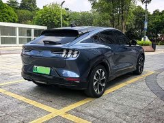 Ford Electric Horse 2021 Borderless Rear-Drive Deluxe Edition (Long Range) - фото 18