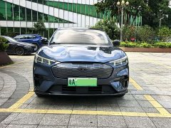 Ford Electric Horse 2021 Borderless Rear-Drive Deluxe Edition (Long Range) - фото 2