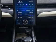 Ford Electric Horse 2021 Borderless Rear-Drive Deluxe Edition (Long Range) - фото 6