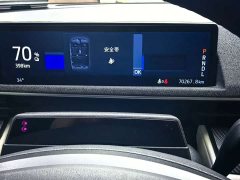 Ford Electric Horse 2021 Borderless Rear-Drive Deluxe Edition (Long Range) - фото 8