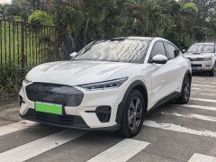 Ford Electric Horse 2021 Rear-wheel drive version (standard range) - фото 1