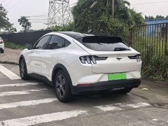 Ford Electric Horse 2021 Rear-wheel drive version (standard range) - фото 13