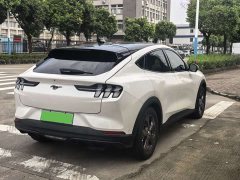 Ford Electric Horse 2021 Rear-wheel drive version (standard range) - фото 14