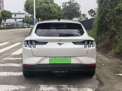 Ford Electric Horse 2021 Rear-wheel drive version (standard range) - фото 15