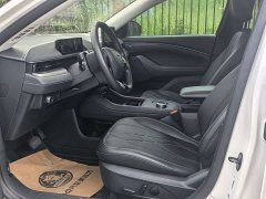 Ford Electric Horse 2021 Rear-wheel drive version (standard range) - фото 3